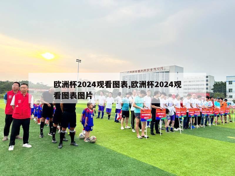 欧洲杯2024观看图表,欧洲杯2024观看图表图片